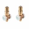 Vanne antigel Caleffi x2 AFVALVE1